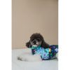 Жилет для животных Pet Fashion Grass S (4823082435937) изображение 5