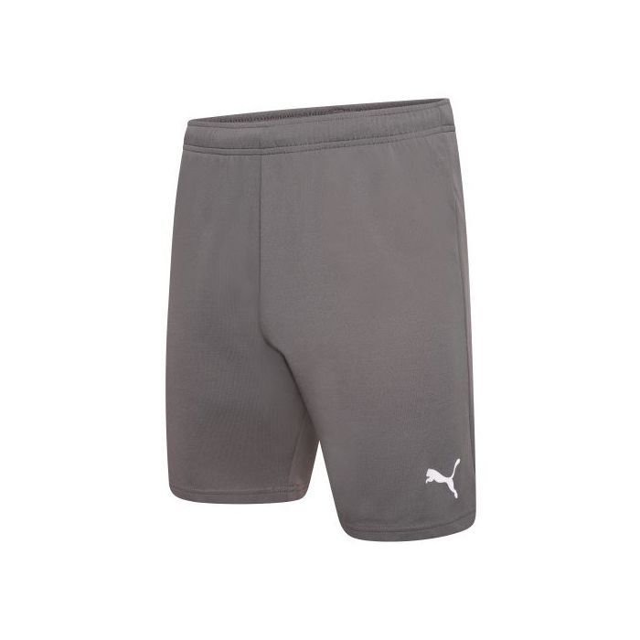 Шорти Puma teamRISE Short 704942-13 сірий L (4063699212068)
