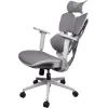 Крісло ігрове Sihoo Xallking X5C Mesh Grey (X5FC-N101) зображення 2