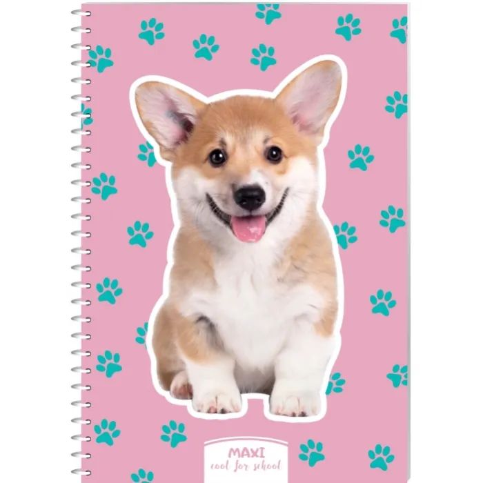 Блокнот Maxi А5, пластикова обкладинка, спіраль, 60 арк., клітинка (MX21213-13)