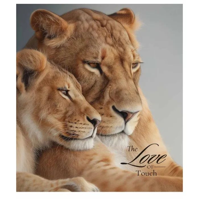Тетрадь Школярик Star The Love of touch 96 листов клетка (096-3665K) изображение 2