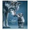 Тетрадь Школярик Star The Love of touch 96 листов клетка (096-3665K) изображение 3