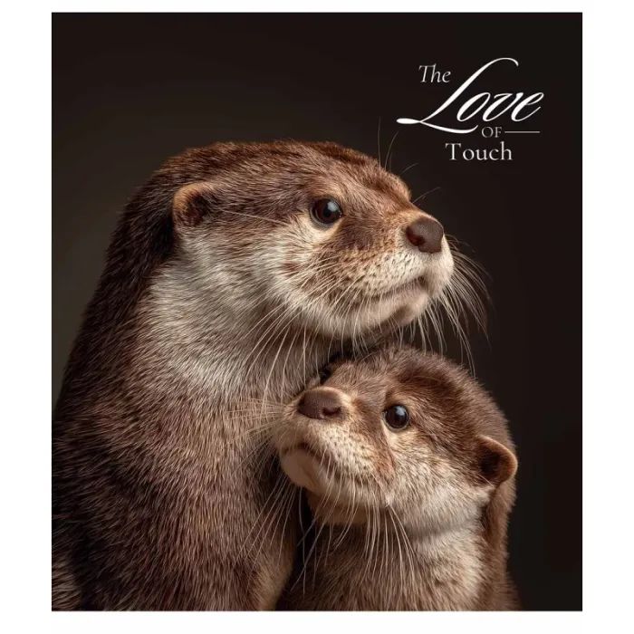 Тетрадь Школярик Star The Love of touch 96 листов клетка (096-3665K) изображение 5