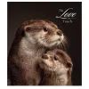 Тетрадь Школярик Star The Love of touch 96 листов клетка (096-3665K) изображение 5