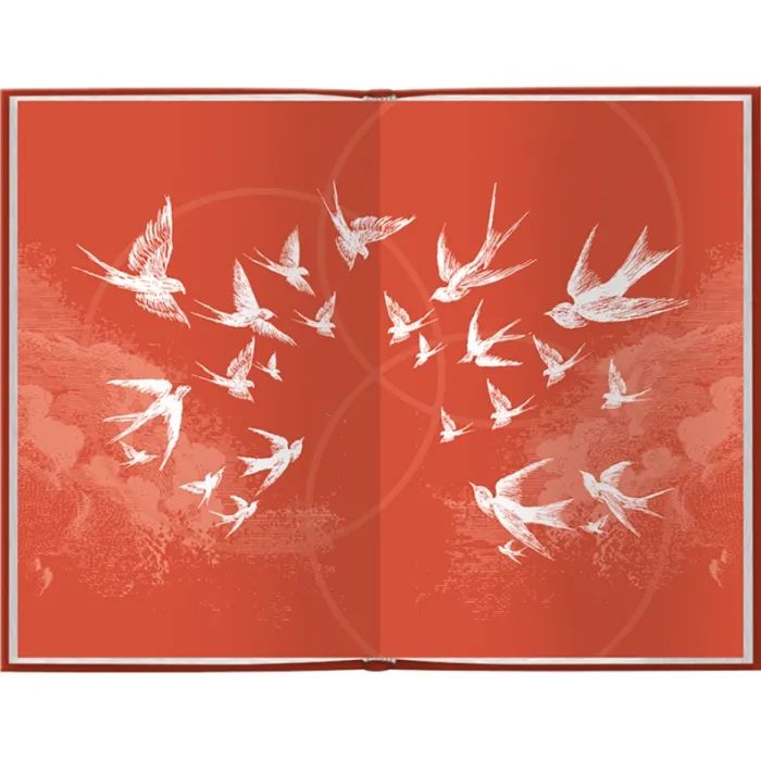 Книга Ув'язнити дику пташку. Книга 1 - Брук Фест КСД (9786171519817) изображение 2