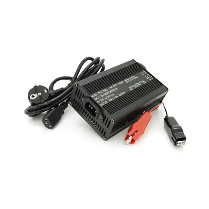 Сетевое зарядное устройство для АКБ Voltronic Li-ion 67.2V 4A (YH-67240)
