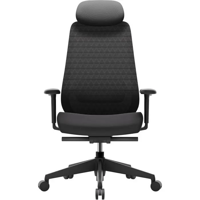 Офісне крісло OfficePro Omnis, OC640B (OC640B)
