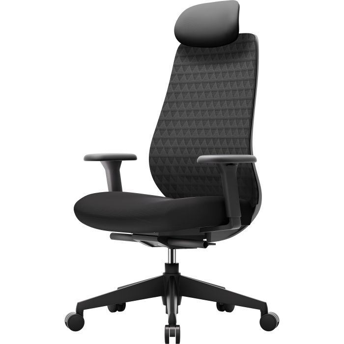 Офісне крісло OfficePro Omnis, OC640R (OC640R) зображення 2