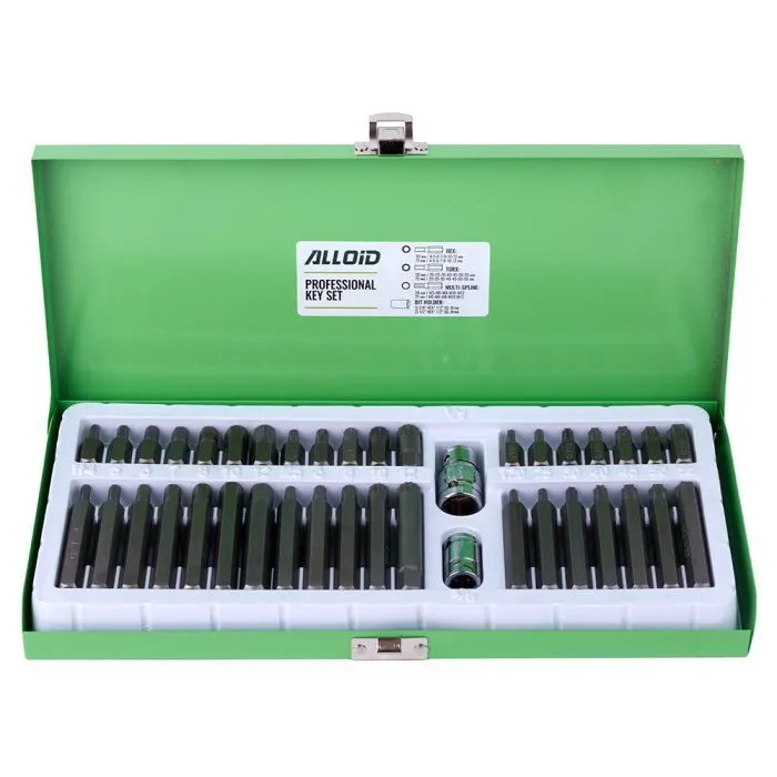 Набор бит Alloid шестигранная, SPLINE, TORX, 40шт. (NB-3840)