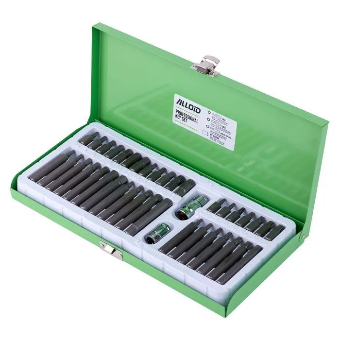 Набор бит Alloid шестигранная, SPLINE, TORX, 40шт. (NB-3840) изображение 2