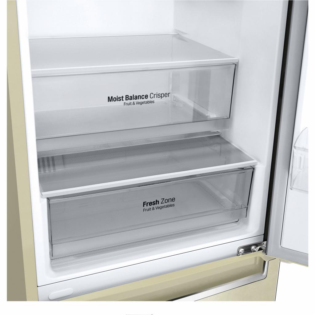 Холодильник LG GW-B509SEJZ изображение 12