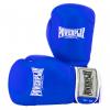 Боксерские перчатки PowerPlay 3019 12oz Blue (PP_3019_12oz_Blue) изображение 7