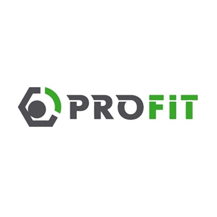 Повітряний фільтр для автомобіля Profit 1512-4206