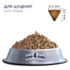 Сухий корм для собак Club 4 Paws Преміум. Для цуценят з високим вмістом курки 2 кг (4820083909450) зображення 3