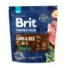 Сухий корм для собак Brit Premium Dog Sensitive Lamb 1 кг (8595602526611)