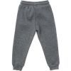 Штаны детские Cloise спортивные флисовые (CL0155019-152B-gray) изображение 2