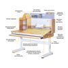 Парта ErgoKids Timberdesk L (BD-690 Wood L) зображення 2