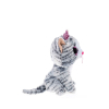 М'яка іграшка Ty Beanie Boo's Кошеня Kiki 15 см (37190) зображення 5