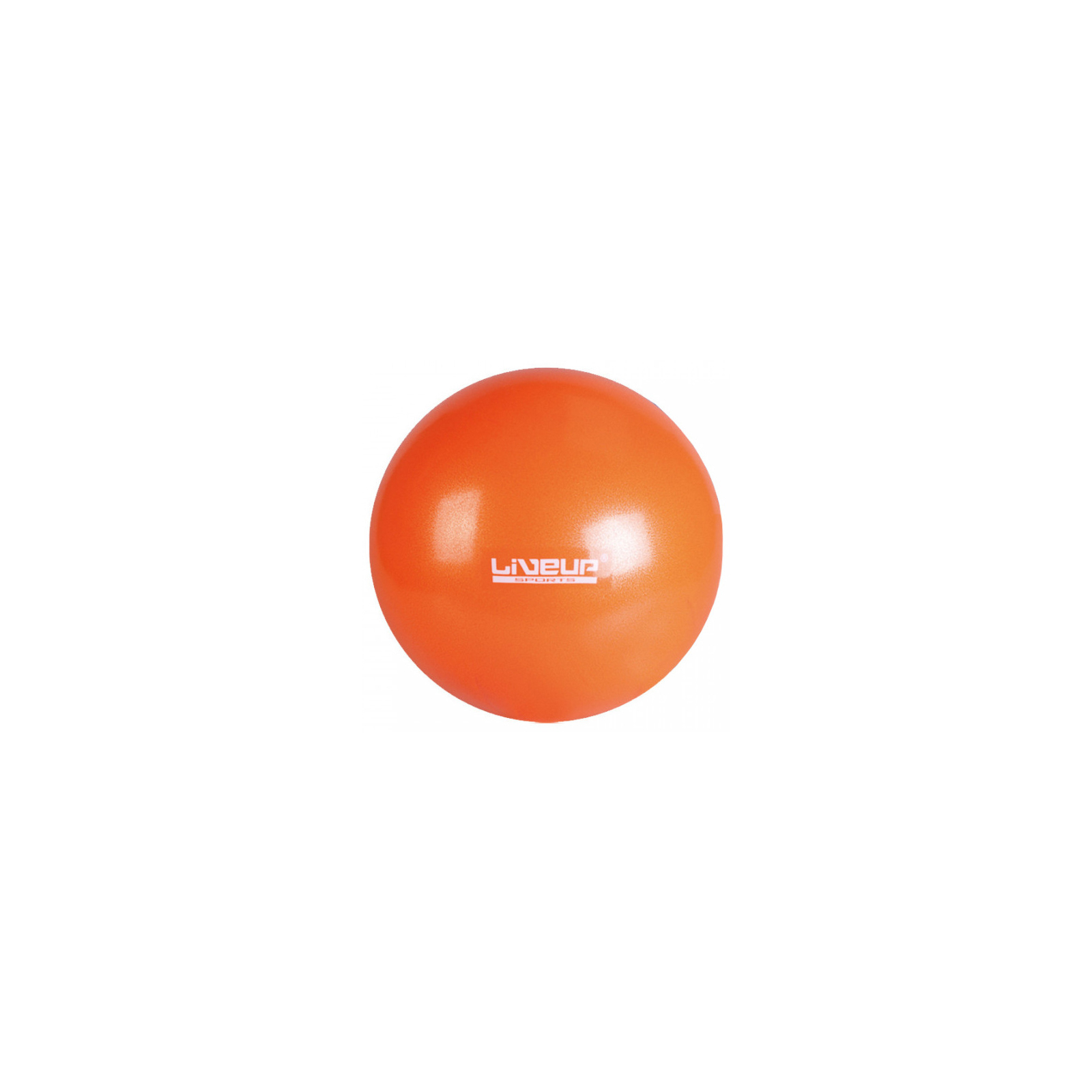 М'яч для фітнесу LiveUp Mini Ball LS3225-25o помаранчевий 25см (6951376103076)