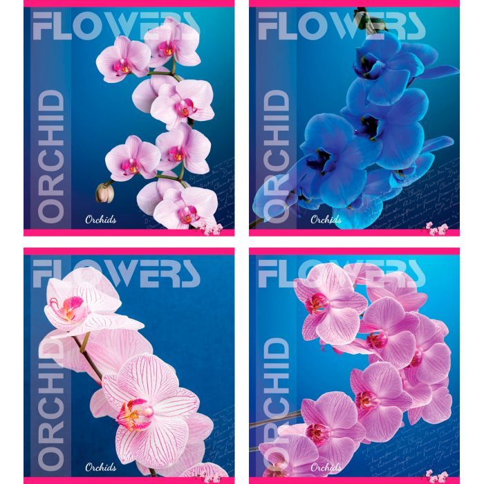 Тетрадь Мрії збуваються 60 листов, клетка (TA5.6011.3417к)