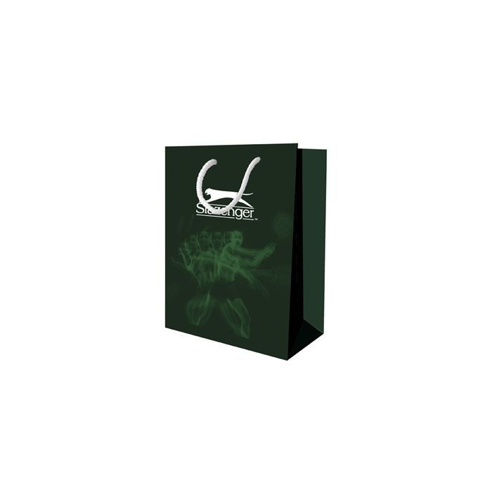 Наручные часы Slazenger SL.09.6201.2.01 изображение 3