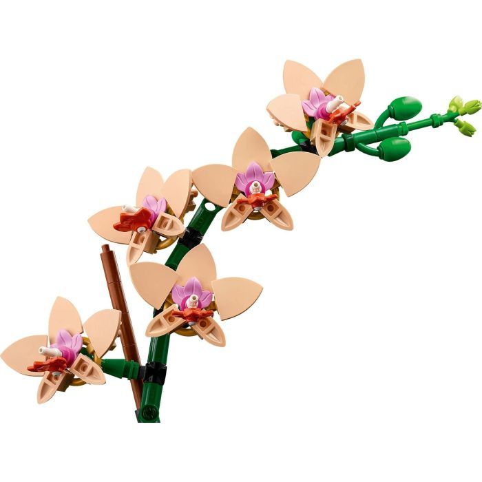 Конструктор LEGO Botanicals Мини орхидея (10343) изображение 4