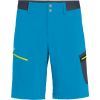 Шорты Salewa Pedroc Cargo 2 26934 8981 - 46/S - синій (013.002.8014)