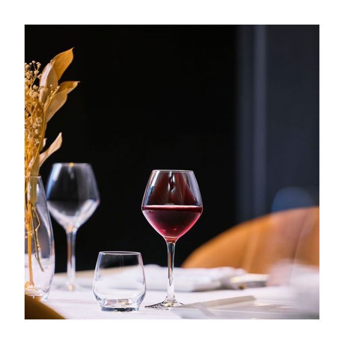 Бокал Chef & Sommelier серія "Cabernet Vins Jeunes" 470 мл (E2790) изображение 4