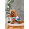 Жилет для животных Pet Fashion Grass XS (4823082435913) изображение 4
