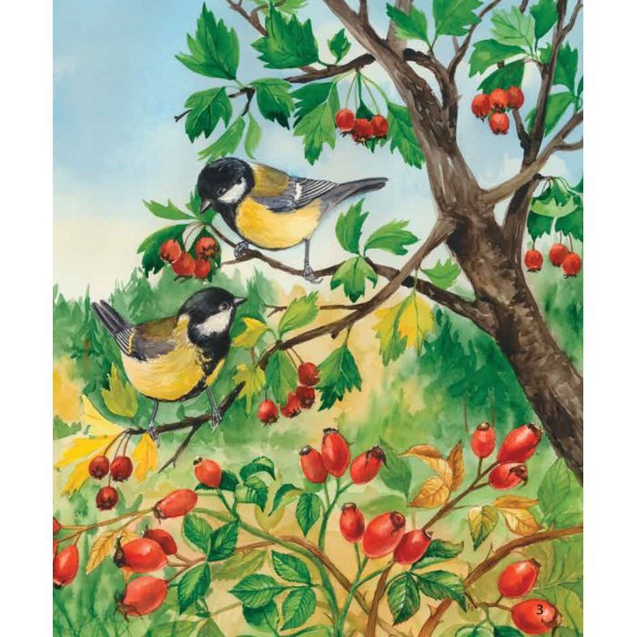 Книга Ліс. Енциклопедія дошкільника - Юлія Каспарова Ранок (9786170936196) зображення 3