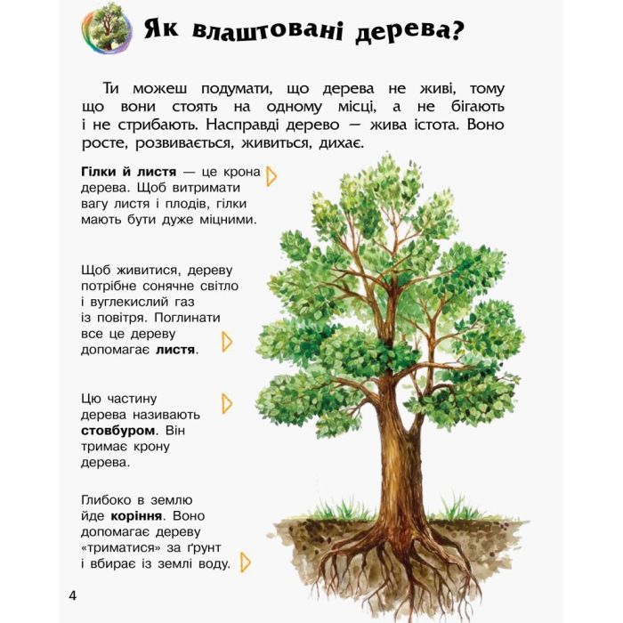 Книга Ліс. Енциклопедія дошкільника - Юлія Каспарова Ранок (9786170936196) зображення 4