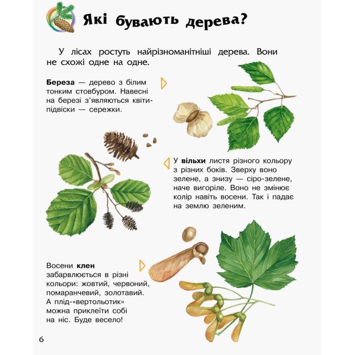 Книга Ліс. Енциклопедія дошкільника - Юлія Каспарова Ранок (9786170936196) зображення 6