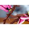 Конструктор LEGO Botanicals Magnolia Branches (11510) изображение 9