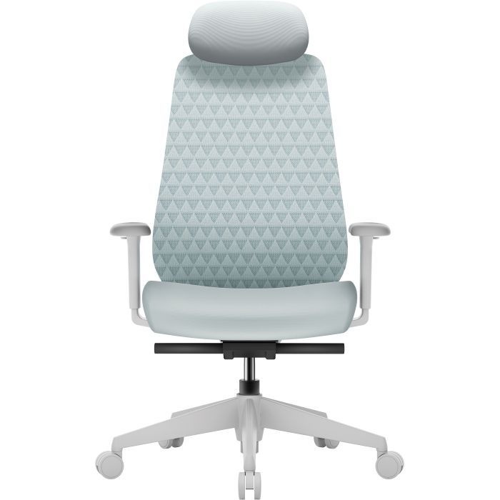Офісне крісло OfficePro Omnis, OC640R (OC640R)