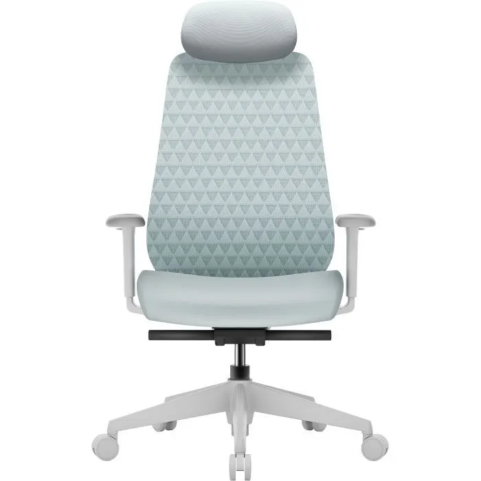 Офісне крісло OfficePro Omnis, OC640G (OC640G)