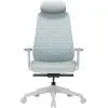 Офісне крісло OfficePro Omnis, OC640G (OC640G)
