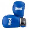 Боксерские перчатки PowerPlay 3019 14oz Blue (PP_3019_14oz_Blue) изображение 7