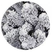 Искусственная елка YES! Fun Альпийская заснеженная 1,8 м (903921) изображение 2