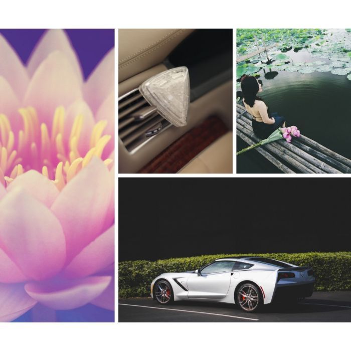 Ароматизатор для автомобиля K2 IAMO LOTUS 15гр (V88LOT) изображение 4