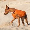 Жилет для тварин Pet Fashion "E.Vest" XS-2 помаранчевий (4823082424283) зображення 4