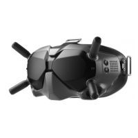 Очки виртуальной реальности DJI FPV Goggles V2 (CP.FP.00000018.01) изображение 2