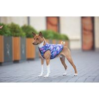 Курточка для животных WAUDOG Clothes "Рик и Морти 1" XS30 (0930-0280) изображение 2