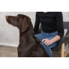 Расческа для животных Trixie Пуходерка для ухода за шерстью и подшерстком у собак 12х20 см (4011905241333) изображение 2