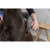 Расческа для животных Trixie Пуходерка для ухода за шерстью и подшерстком у собак 12х20 см (4011905241333) изображение 4