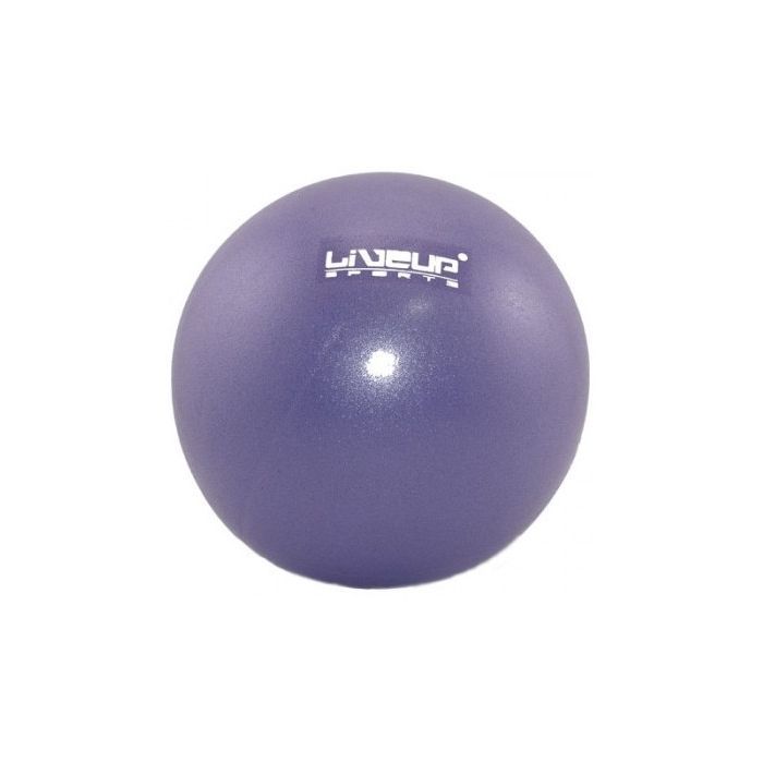 Мяч для фитнеса LiveUp Mini Ball LS3225-20p фіолетовий 20см (6951376103694)