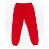 Штаны детские Cloise флисовые (CL0153023-128-darkred) изображение 2