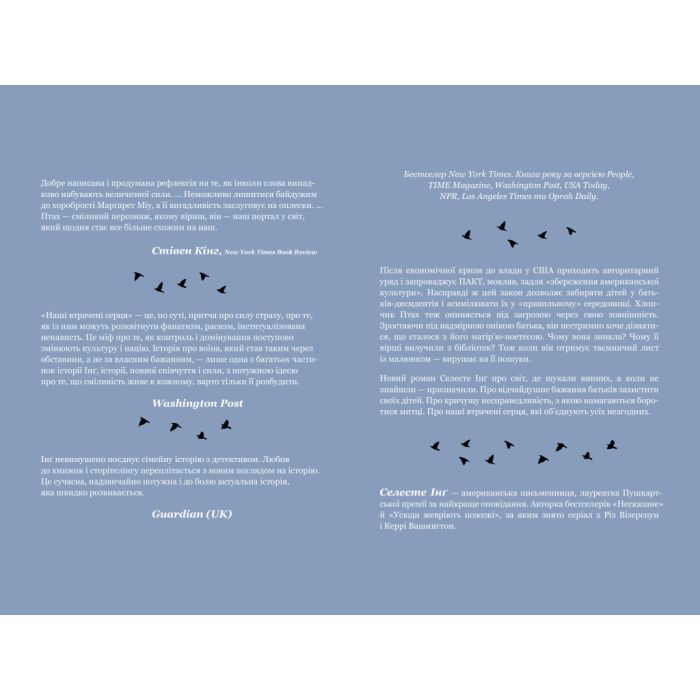 Книга Наші втрачені серця - Селесте Інґ Наш Формат (9786178120887) зображення 3