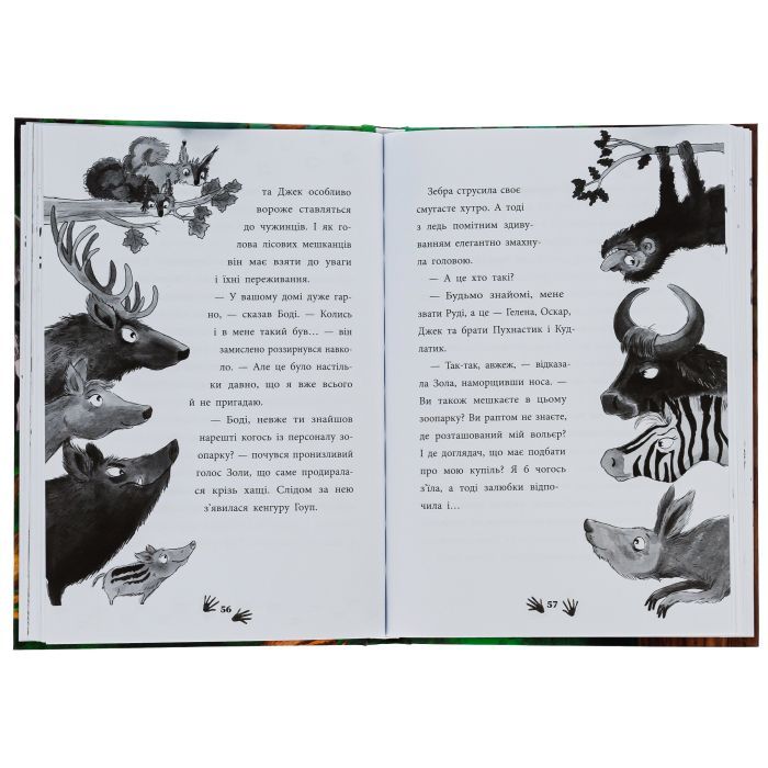 Книга Ліс незвичайних тварин - Еллі Беннет Ранок (9786170987013) изображение 5