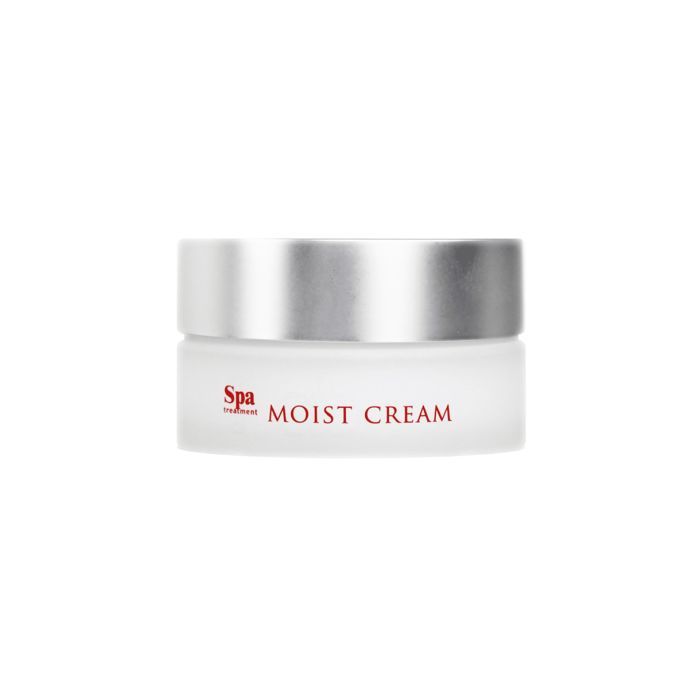 Крем для лица SPA Treatment Abso Moist Cream Увлажняющий 30 г (4513857304932)