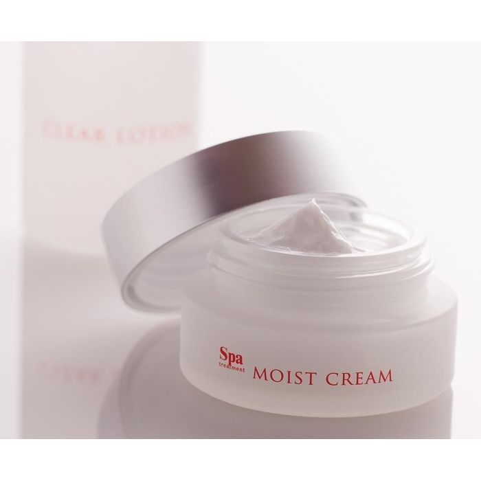 Крем для лица SPA Treatment Abso Moist Cream Увлажняющий 30 г (4513857304932) изображение 4